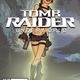Illustration for article titled Please Pick The Best Lara Croft Box Art